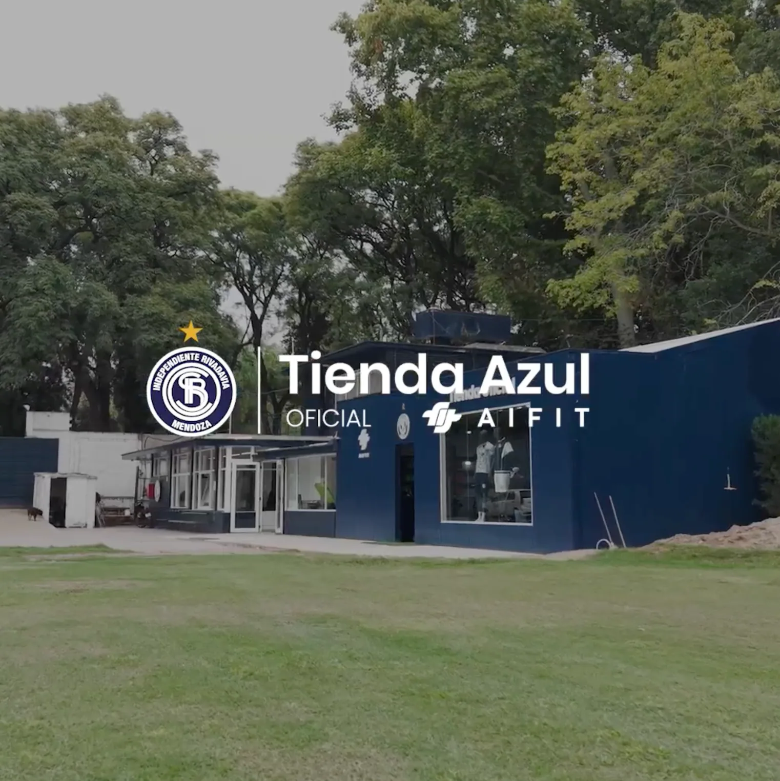 Tienda Oficial